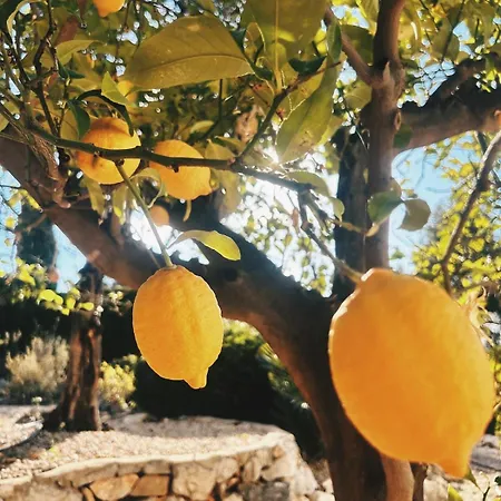 Authentic With Private Pool & Stunning View Σπίτι διακοπών Adsubia